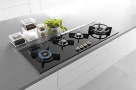 Commercial Gas Stove